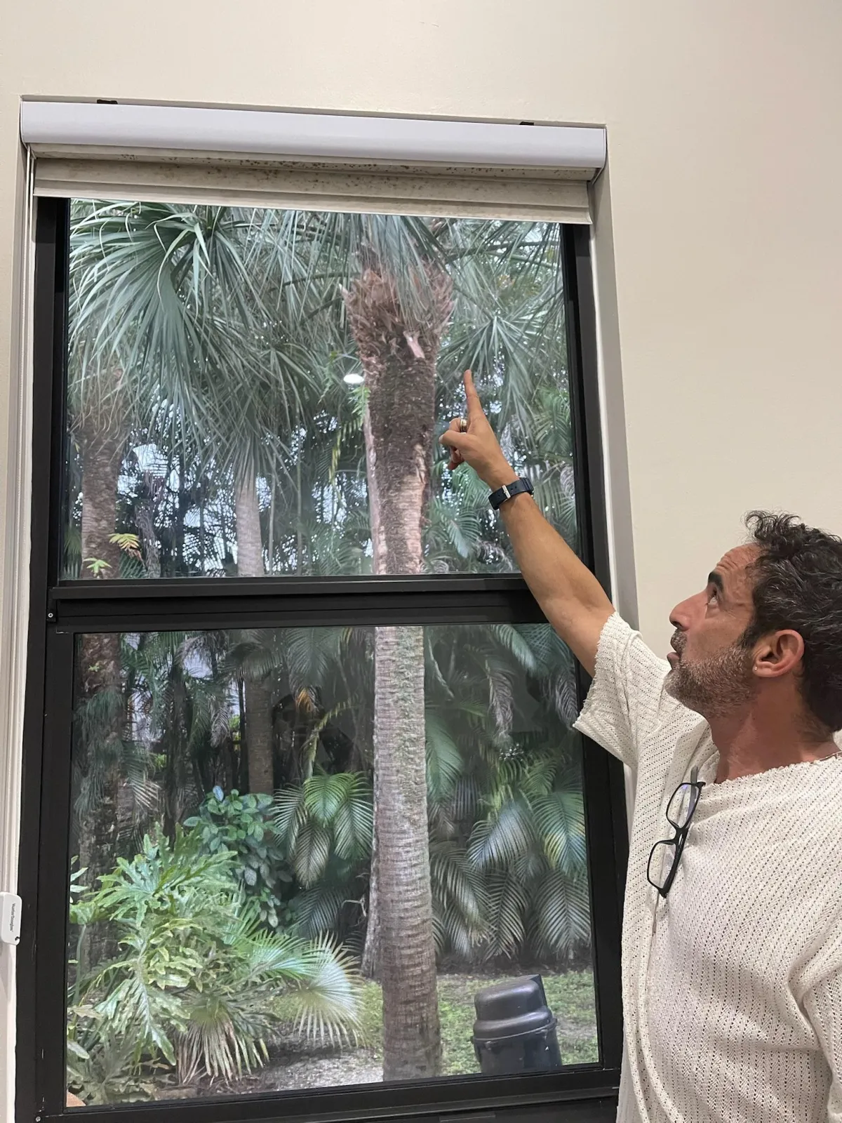 Historic home impact window preservation